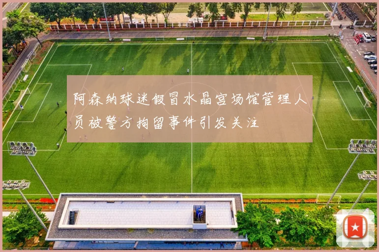 阿森纳球迷假冒水晶宫场馆管理人员被警方拘留事件引发关注