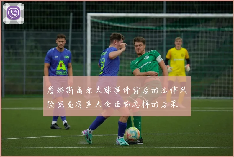 詹姆斯高尔夫球事件背后的法律风险究竟有多大会面临怎样的后果